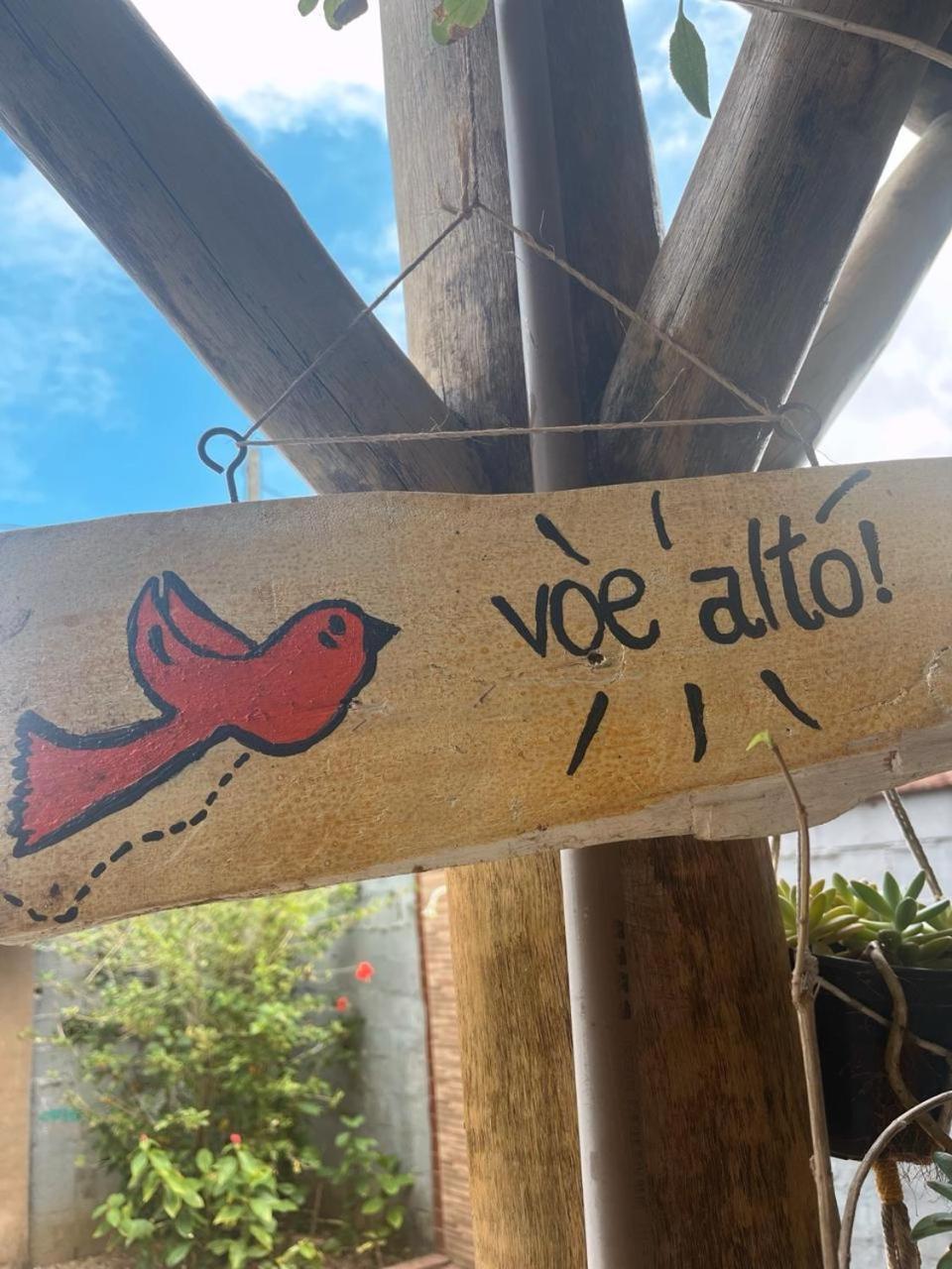 Flor De Cacau *
